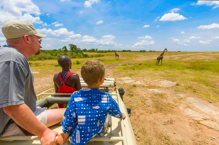 A young boy observes giraffes from a safari vehicle in the Masai Mara, Kenya, East Africa.