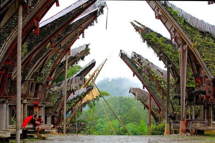 Two women seated on the front steps of traditional Toraja houses in Sulawesi, Indonesia