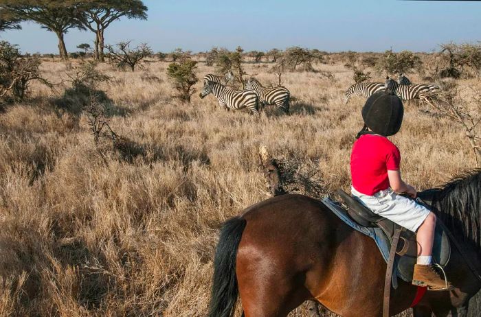 A young boy on horseback observing zebras in the Kenyan bush.