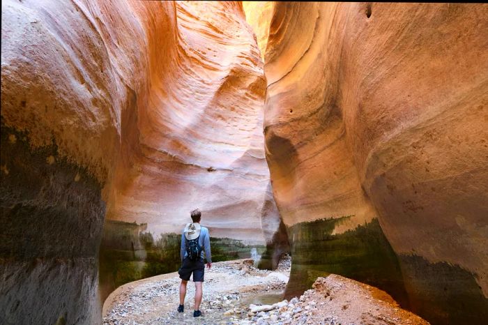 A male hiker gazes upward at the layered rock formations within a slot canyon in Wadi Ghuweir, one of the longest wadis in the Dana Biosphere Reserve, Jordan.