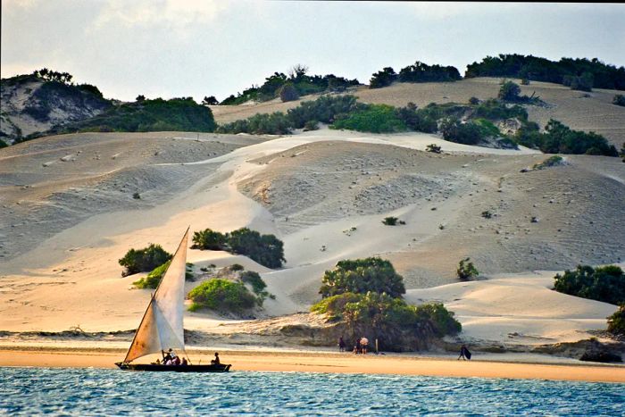 A traditional dhow sails past a beautiful beach.