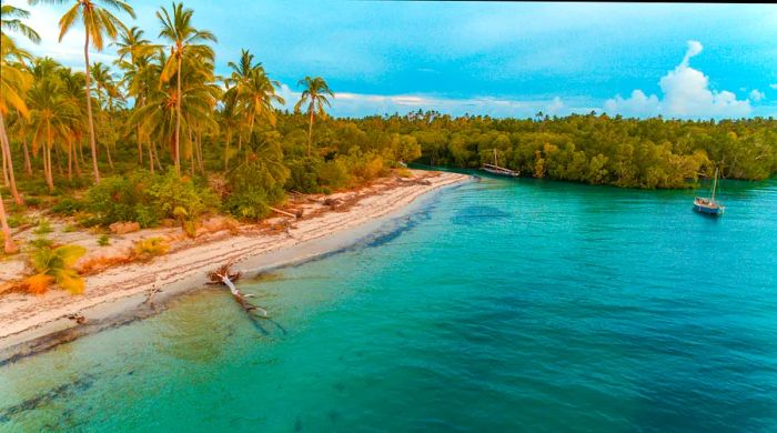 A stunning tropical beach framed by swaying palm trees.