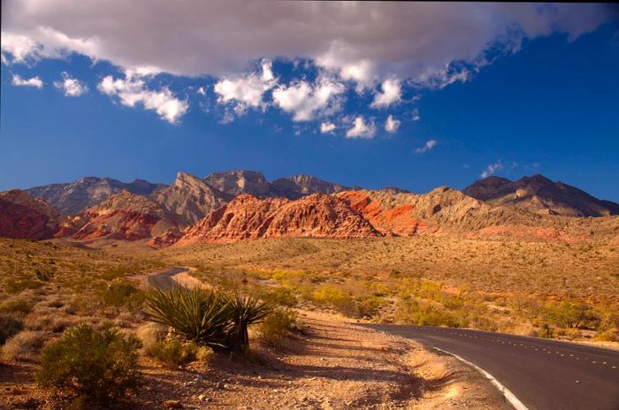 A paved road winds through an area adorned with towering ancient rock formations alongside it.