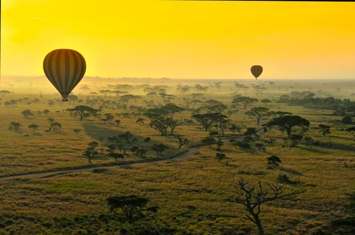 A hot-air balloon soaring at dawn over expansive grasslands