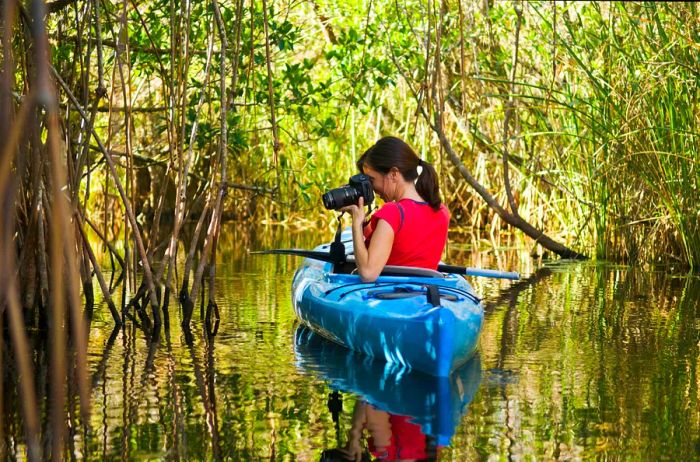 A woman snapping a photo from a kayak in the Everglades, Florida