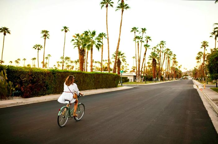 A woman rides her bike down a palm-lined street in Palm Springs, California, USA