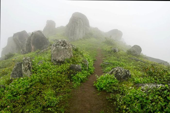 A lush green trail with rocks high in the clouds.