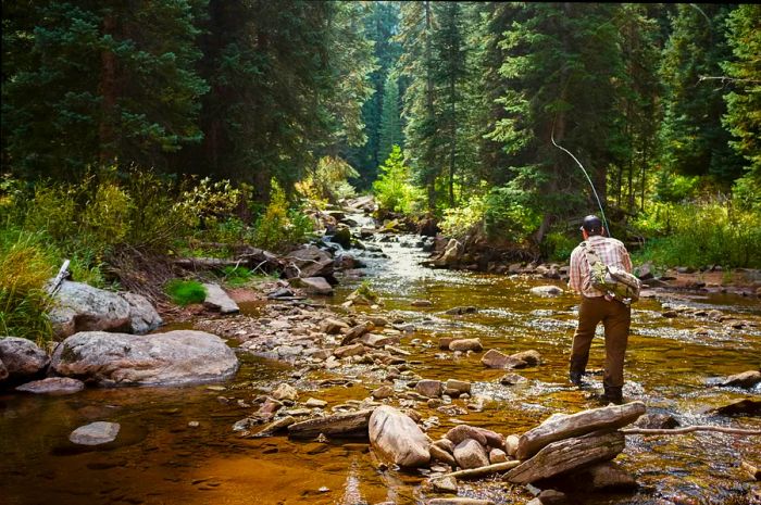 Fishing enthusiasts can experience fantastic fly fishing in the mountain streams and rivers surrounding Vail. Shutterstock