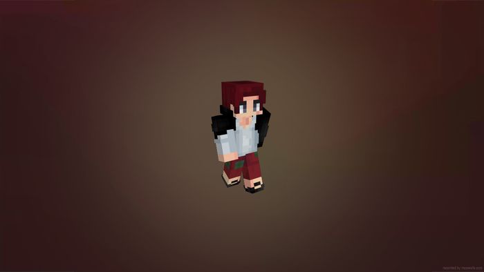 Skin Minecraft One Piece