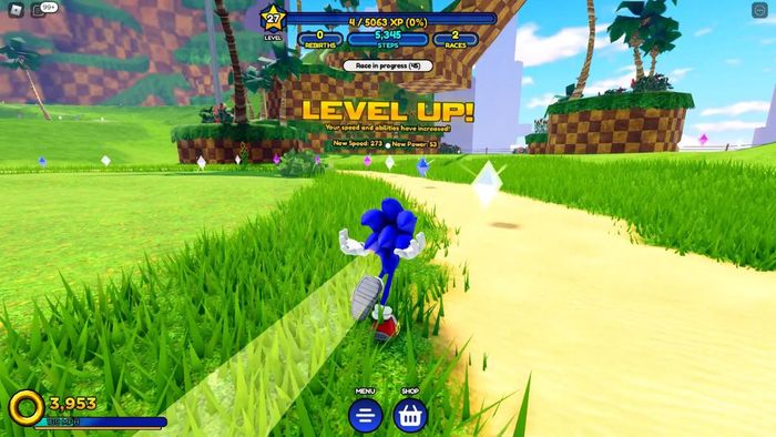 Những điều cần lưu ý khi nhập mã code Sonic Speed Simulator