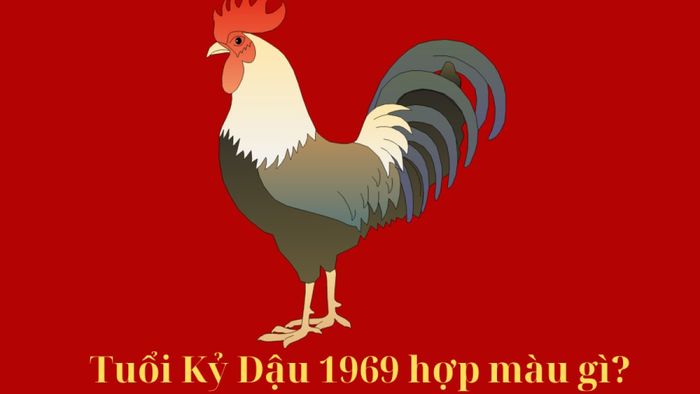 Mệnh gì và màu sắc hợp kỵ cho người sinh năm 1969?