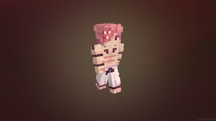 mẫu skin Minecraft Anime dễ thương