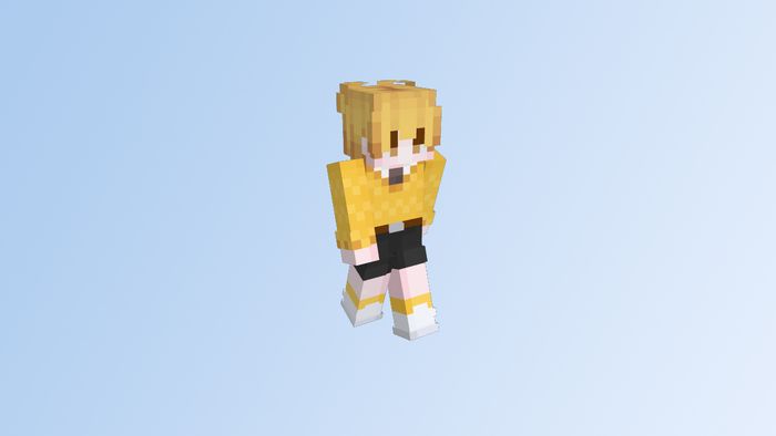 Skin Minecraft meme độc đáo