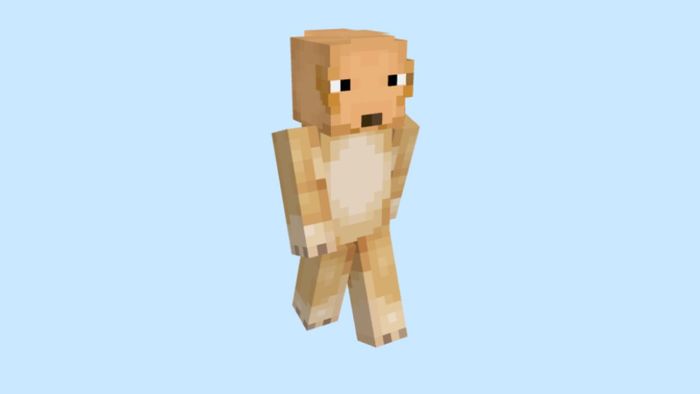 Skin Minecraft meme chế về chó mèo