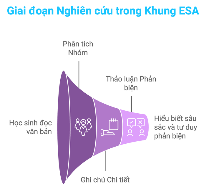 Giai đoạn Study