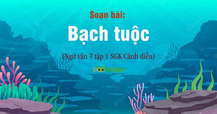 Hình ảnh minh họa (Nguồn từ internet) - ảnh 1