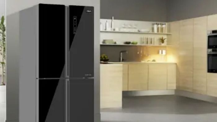 tu-lanh-side-by-side-11