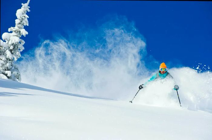 A skier enjoying the slopes of Alta, Utah