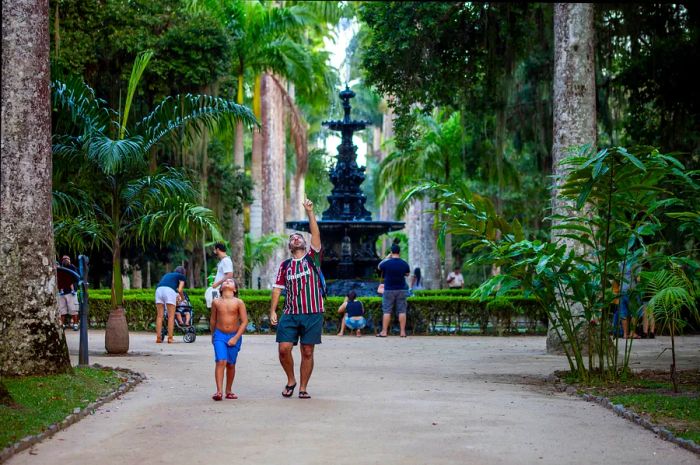 A father and son marveling at the towering royal palm trees in Rio de Janeiro's botanical garden