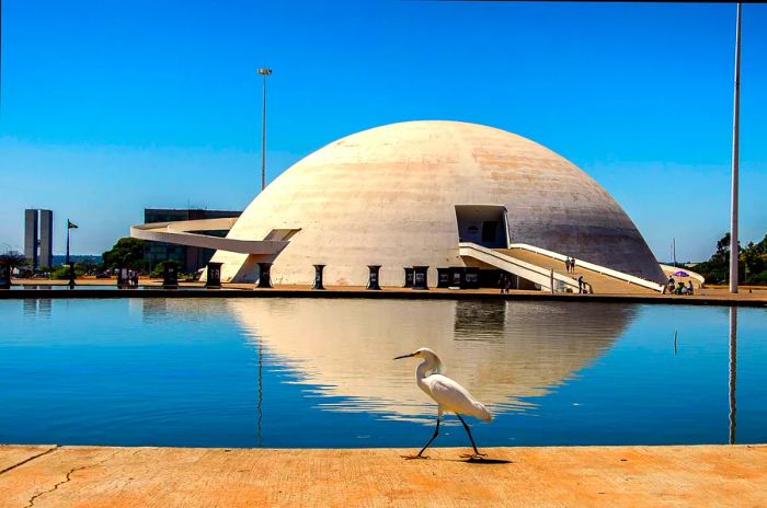 A bird strolls in front of the concrete dome that shelters the Honestino Guimarães National Museum in Brasilia