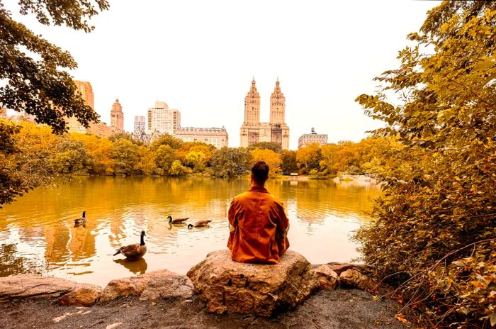 A man in a brown jacket gazes across a pond in New York City, with the city skyline in the background.