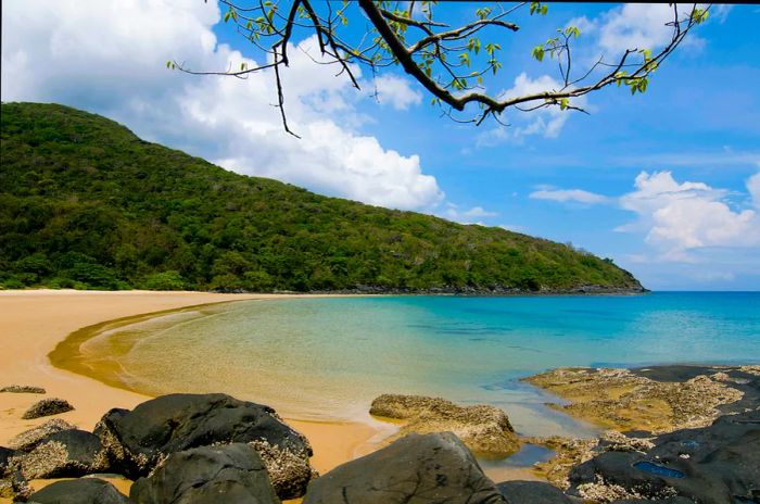 Crescent-shaped Dam Trau beach on Con Dao island, Vietnam, features golden sands and is flanked by lush green forests.