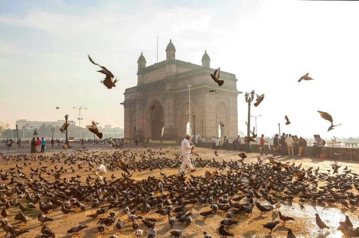 Pigeons scatter from the ground in front of India Gate, as a man dressed in all white walks among them.