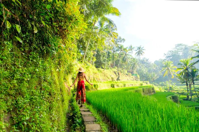 A young woman standing amidst the lush green terraces of Tegalalang's rice fields