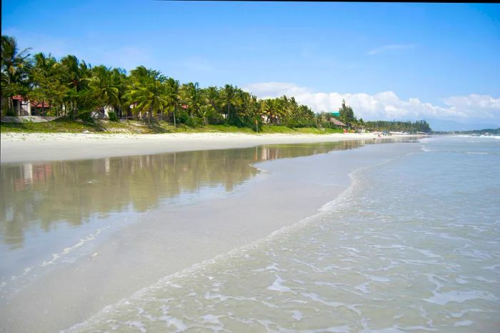 A picturesque view of Doc Let beach from the shallow waters, showcasing its white sand and palm tree backdrop.