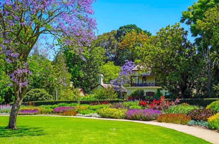 An image showcasing a beautifully curated garden filled with flowering shrubs and a blossoming tree in the Royal Botanic Gardens, Melbourne.