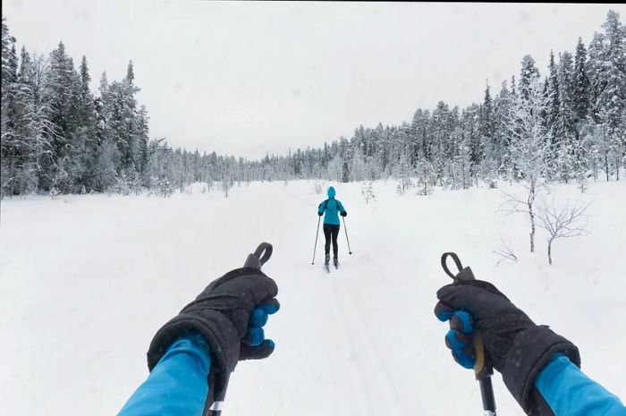 Cross-country skiers glide through Ylläs, Kolari, Finland.