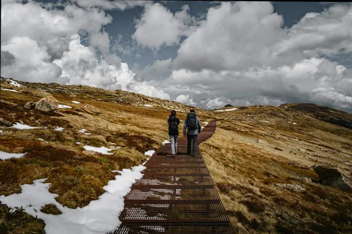 Hiking the Kosciuszko walking track in Kosciuszko National Park.