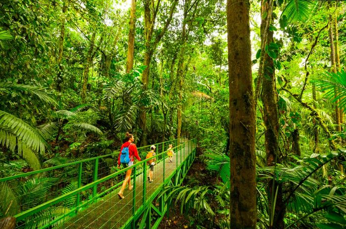 A mother and her two young children stroll across a bridge high among the treetops in the jungle