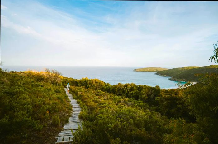 Girl hiking solo on the Bibbulmun Track in Australia, with a breathtaking ocean view and beach in the background.