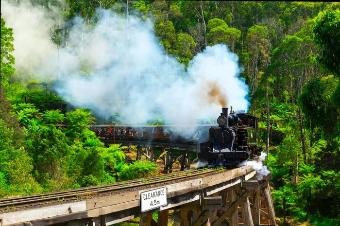 Puffing Billy steam train crossing the Monbulk Creek Trestle Bridge just outside Melbourne