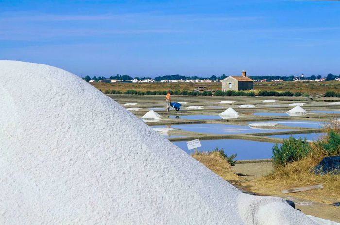 A worker wheels a barrow past Noirmoutier's salt pans, with a large mound of salt in the foreground.