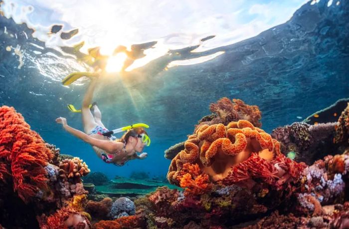 An underwater shot capturing coral reef structures as a young woman snorkels above © Dudarev Mikhail / Shutterstock