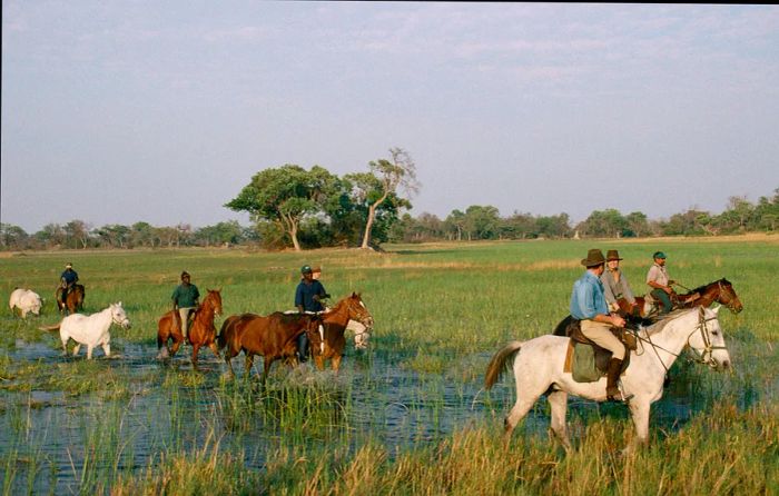 BOTSWANA Southern Africa Okavango Delta Horseback safari with tourists riding through marshes