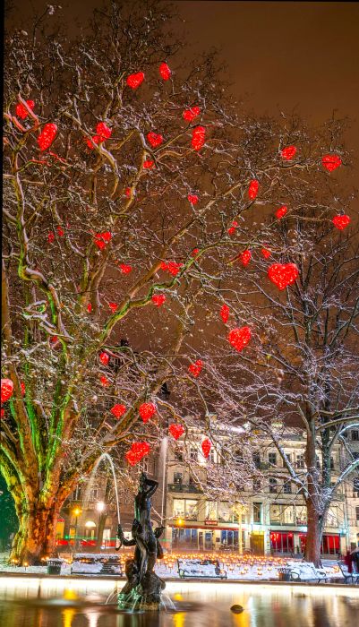 In Malmö, the tree of love adorned with red hearts graces Gustav Adolf's Square during Christmas time.