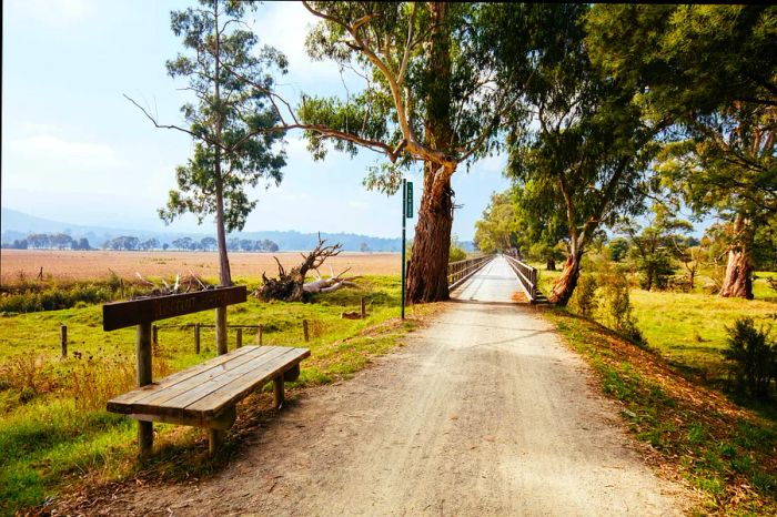 A narrow, direct walking path winds through lush fields connecting Lilydale and Warburton in Australia.