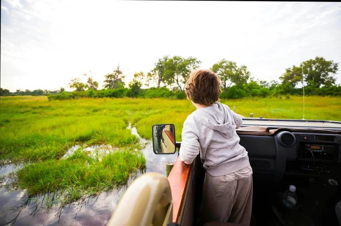 A young boy in a safari jeep, navigating through marshes in search of wildlife in Botswana