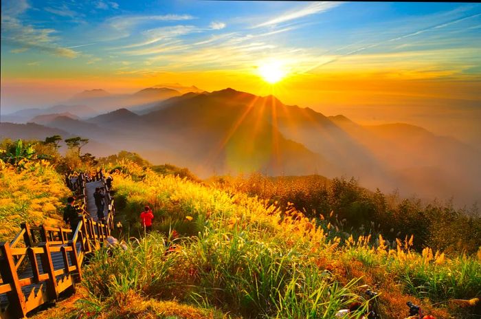 As the sun sets over a mountain in the Alishan National Scenic Area, onlookers admire the stunning view.