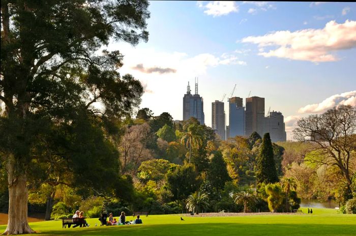 View of the Melbourne skyline from the Royal Botanic Gardens, with individuals relaxing on benches beneath the trees.