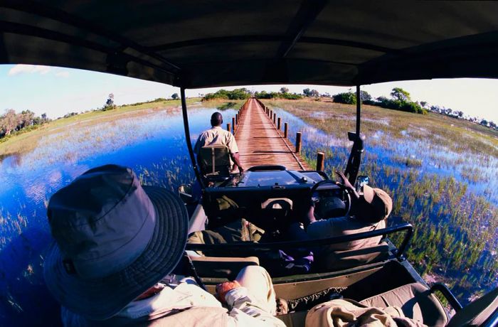 Two individuals navigate the wetlands in a 4WD vehicle within the Okavango Delta, Botswana