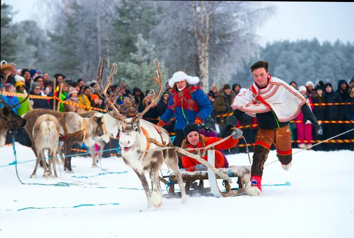 Traditional reindeer racing at the annual Sami Market in Jokkmokk, Sweden