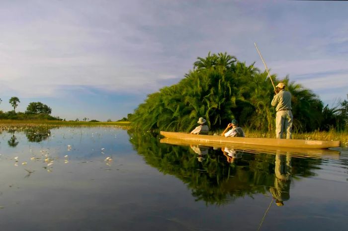 Experience a mokoro (traditional canoe) tour navigating the serene waters of the Okavango Delta in Botswana.