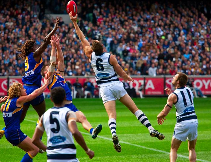 Brad Ottens (6) reached for a ruck contest during Geelong's preliminary final victory over West Coast on September 24, 2011