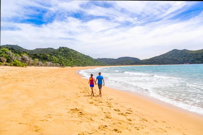 Tourists and hikers explore the coastal trails of Abel Tasman National Park, a renowned travel destination and wilderness reserve located at the northern tip of New Zealand's South Island.