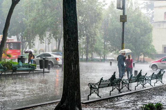 A young couple sharing an umbrella amidst heavy rainfall