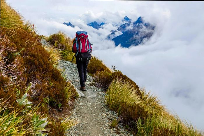 Hiking in the Southern Alps along the Routeburn Track, South Island of New Zealand